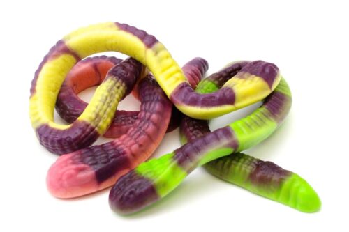 Anaconda Maxi XXL
